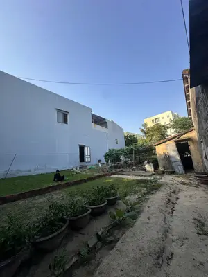 Bán đất mặt tiền Nguyễn Duy Trinh, Ngũ Hành Sơn – 126 m², 6,3 tỷ – ảnh 3