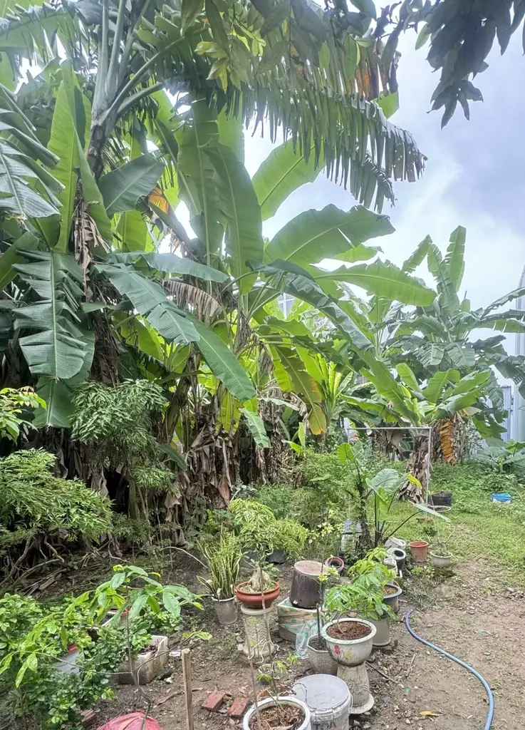 Bán đất Ban Ban 20, Ngũ Hành Sơn – 100 m², 3,95 tỷ – ảnh 3