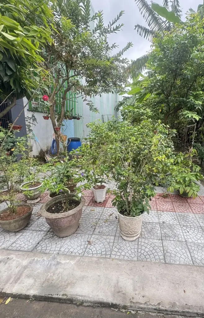 Bán đất Ban Ban 20, Ngũ Hành Sơn – 100 m², 3,95 tỷ – ảnh 4