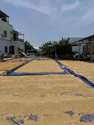 Bán đất Mai Đăng Chơn, Ngũ Hành Sơn – 114 m², 3,4 tỷ