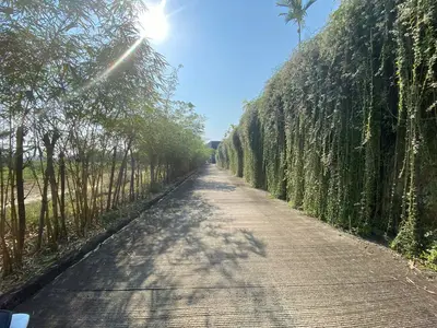 Bán đất Điện Dương, Hội An – 200 m², 2,65 tỷ – ảnh 6