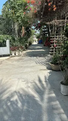 Bán đất Thôn An Trạch Hòa Tiến, Cẩm Lệ – 242 m², 1,95 tỷ – ảnh 1