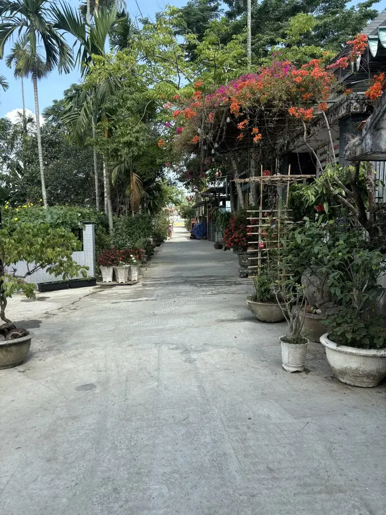 Bán đất Thôn An Trạch Hòa Tiến, Cẩm Lệ – 242 m², 1,95 tỷ – ảnh 2