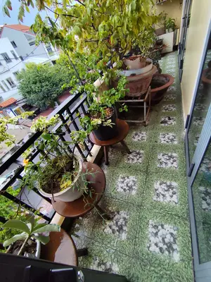 Bán nhà mặt tiền Đường 18 tháng 8, Hội An – 131 m², 3 tầng, 25,5 tỷ – ảnh 6