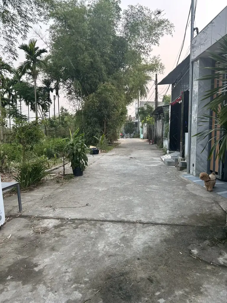 Bán đất Mặt Kiệt Giáng Đông, Cẩm Lệ – 125 m², 2,4 tỷ – ảnh 3