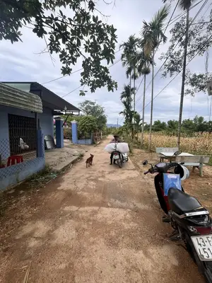 Bán đất Thôn Châu Sơn 1 Thị xã Điện Bàn, Quảng Nam (khu khác) – 125 m², 800 triệu – ảnh 3