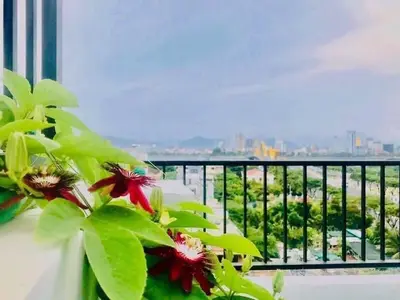 Bán nhà mặt tiền Ngô Quyền, Sơn Trà – 93 m², 9 tầng, 40 tỷ – ảnh 2