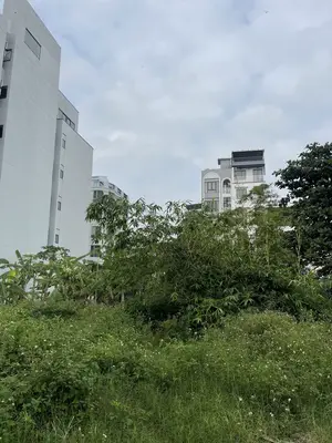 Bán đất mặt tiền Võ Nguyên Giáp, Ngũ Hành Sơn – 145 m², 35 tỷ