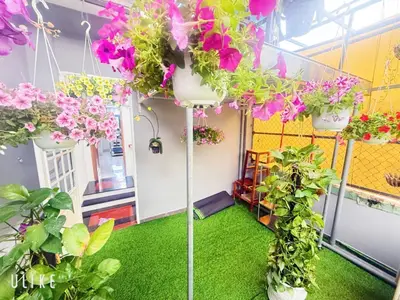 Bán nhà Phạm Nhữ Tăng, Hải Châu – 43 m², 3 tầng, 4,2 tỷ – ảnh 7