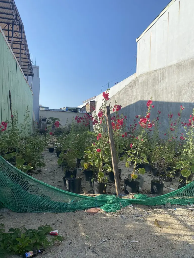 Bán đất mặt tiền Hoàng Bình Chính, Ngũ Hành Sơn – 200 m², 7,3 tỷ – ảnh 3