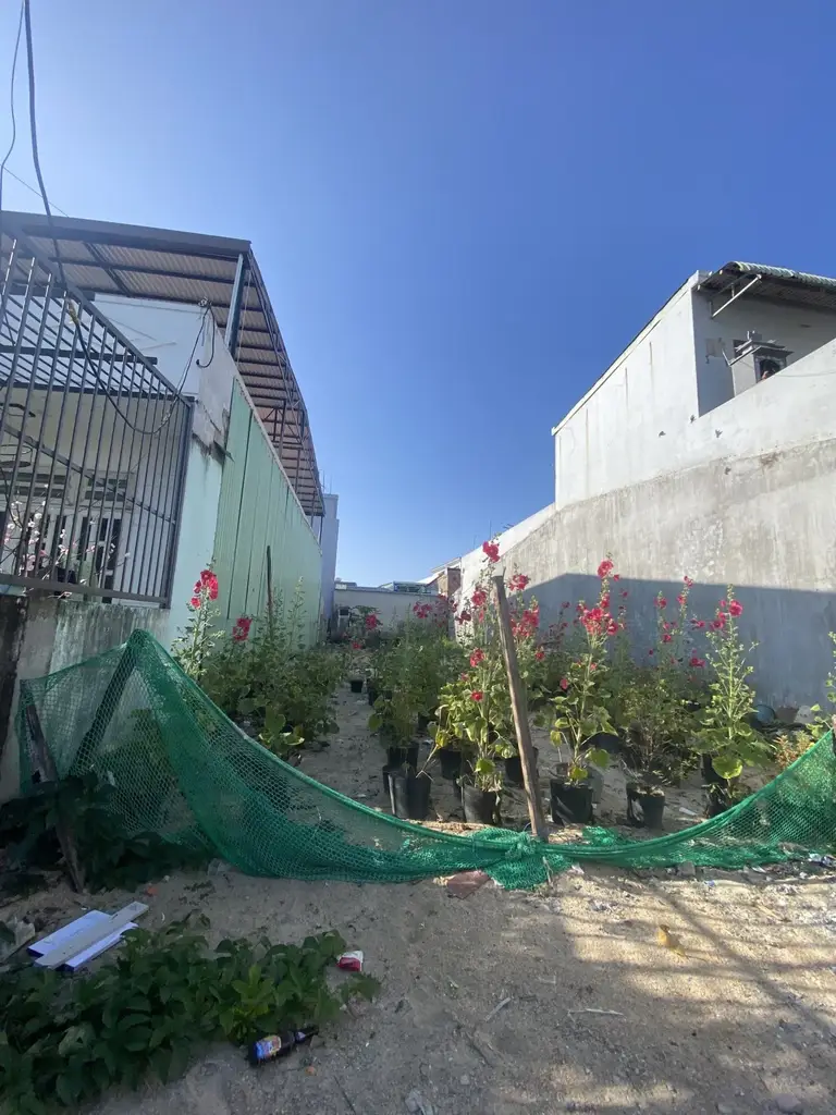Bán đất mặt tiền Hoàng Bình Chính, Ngũ Hành Sơn – 200 m², 7,3 tỷ – ảnh 5