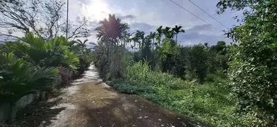 Bán đất Hòa Phú, Hòa Vang – 15.000 m², 15 tỷ – ảnh 4