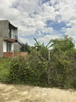 Bán đất Giáng Đông, Hòa Xuân, Cẩm Lệ – 130 m², 1,5 tỷ – ảnh 2