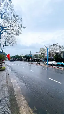 Bán đất mặt tiền Lê Đại Hành, Cẩm Lệ – 100 m², 9 tỷ – ảnh 2