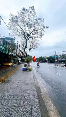 Bán đất mặt tiền Lê Đại Hành, Cẩm Lệ – 100 m², 9 tỷ – ảnh 3
