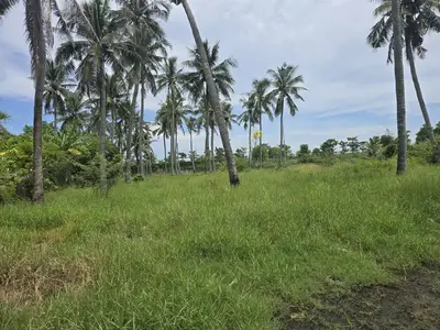 Bán đất mặt tiền Thôn Vạn Lăng, Hội An – 2.238,5 m², 47 tỷ – ảnh 3
