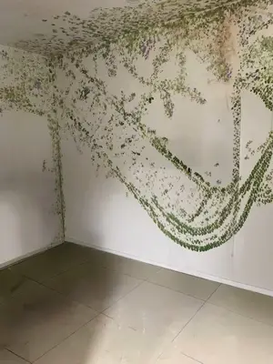 Bán nhà cấp 4 mặt tiền Lê Đình Dương, Hải Châu – 55 m², 13,5 tỷ