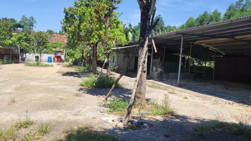 Bán nhà Thôn Hòa Khương Đông, Hòa Vang – 1.548 m², 1 tầng, 1,68 tỷ – ảnh 3