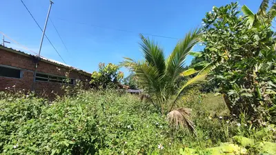 Bán nhà Thôn Hòa Khương Đông, Hòa Vang – 1.548 m², 1 tầng, 1,68 tỷ – ảnh 4