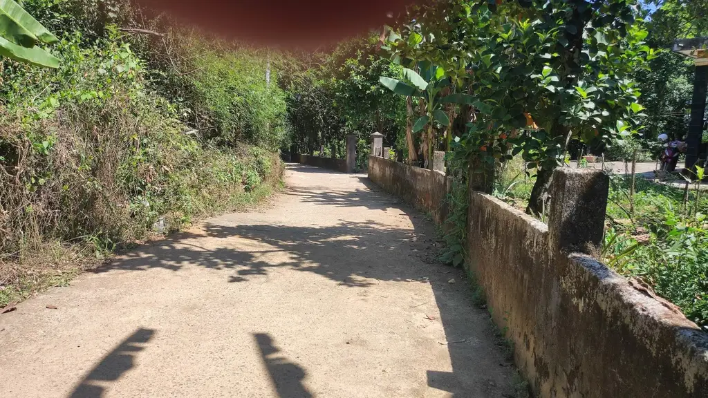 Bán nhà Thôn Hòa Khương Đông, Hòa Vang – 1.548 m², 1 tầng, 1,68 tỷ – ảnh 5