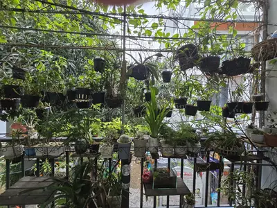 Bán nhà mặt tiền Hà Thị Thân, Sơn Trà – 72,6 m², 4 tầng, 17,5 tỷ – ảnh 9