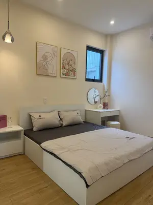 Bán nhà Kiệt Trưng Nữ Vương, Hải Châu – 46 m², 3 tầng, 4,45 tỷ – ảnh 2