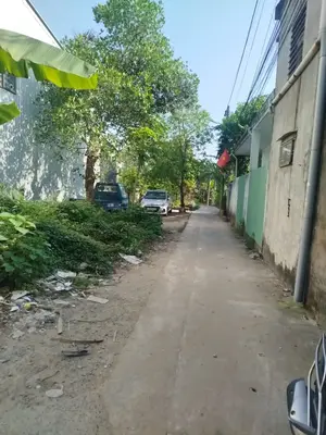 Bán đất Kiệt Trường Chinh, Cẩm Lệ – 100 m², 2,95 tỷ – ảnh 2