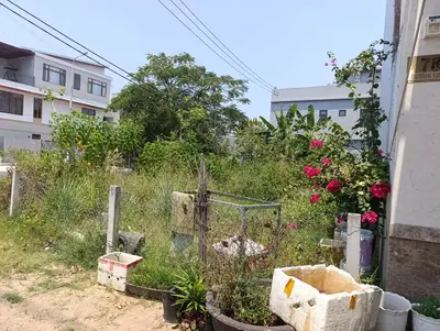 Bán đất lô góc mặt tiền MT Dương Loan – Đô Đốc Lộc, Cẩm Lệ – 232 m², 13,9 tỷ – ảnh 2