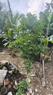 Bán đất Đào Nghiễm, Liên Chiểu – 100 m², 2,2 tỷ
