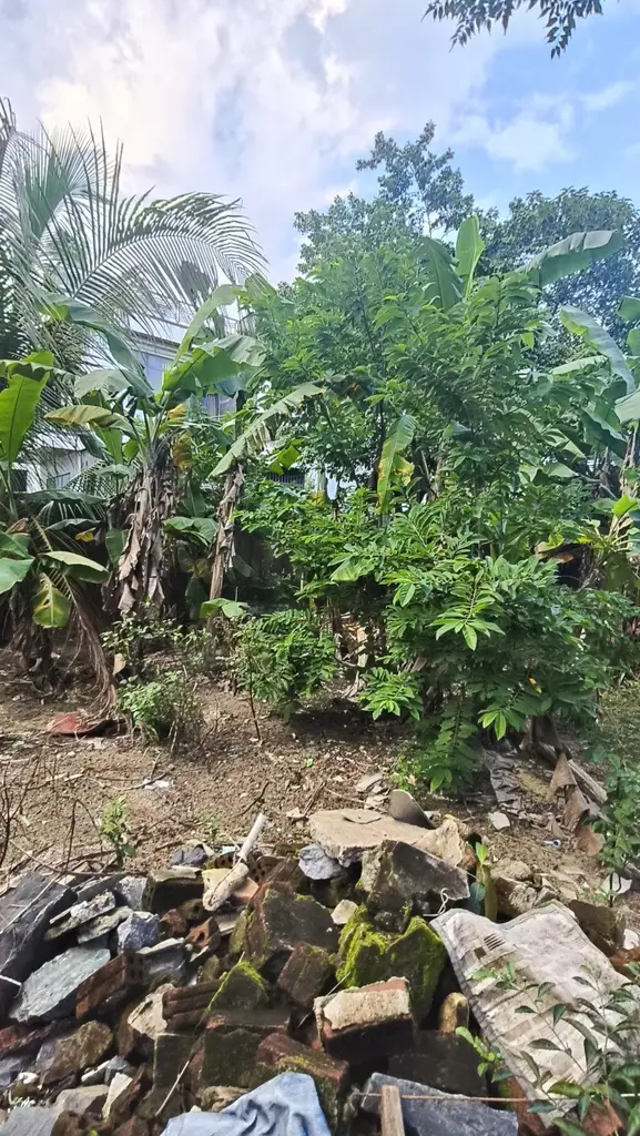 Bán đất Đào Nghiễm, Liên Chiểu – 100 m², 2,2 tỷ – ảnh 2