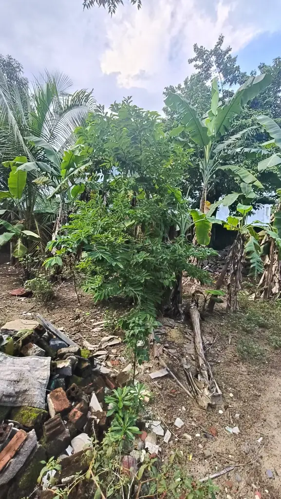 Bán đất Đào Nghiễm, Liên Chiểu – 100 m², 2,2 tỷ – ảnh 4