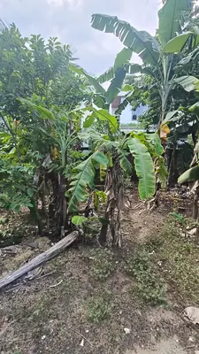 Bán đất Đào Nghiễm, Liên Chiểu – 100 m², 2,2 tỷ – ảnh 6
