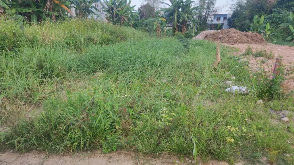 Bán đất Cẩm Nê, Hòa Vang – 150 m², 1,78 tỷ – ảnh 5