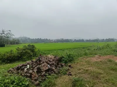 Bán đất Hoàng Phê, Hòa Vang – 100 m², 3,05 tỷ – ảnh 3