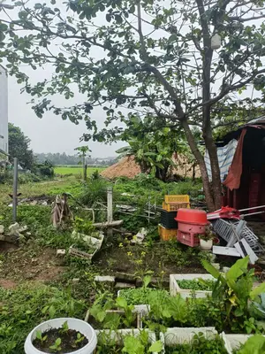 Bán đất Hoàng Phê, Hòa Vang – 100 m², 3,05 tỷ – ảnh 4