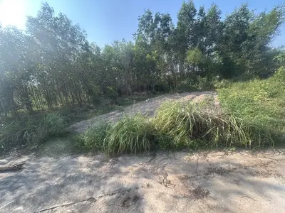 Bán đất Thôn Phước Đức, Quế Sơn Trung, Đà Nẵng, Quảng Nam (khu khác) – 173 m², 368 triệu – ảnh 2