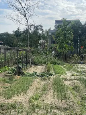 Bán đất Kiệt QL1A, Hội An – 171,7 m², 980 triệu – ảnh 2