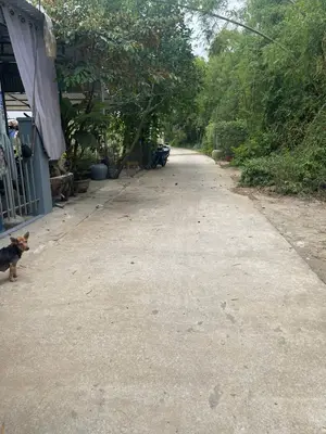 Bán nhà cấp 4 Kiệt Trần Nhân Tông, Cẩm Thanh, Hội An – 132,1 m², 4,3 tỷ – ảnh 3