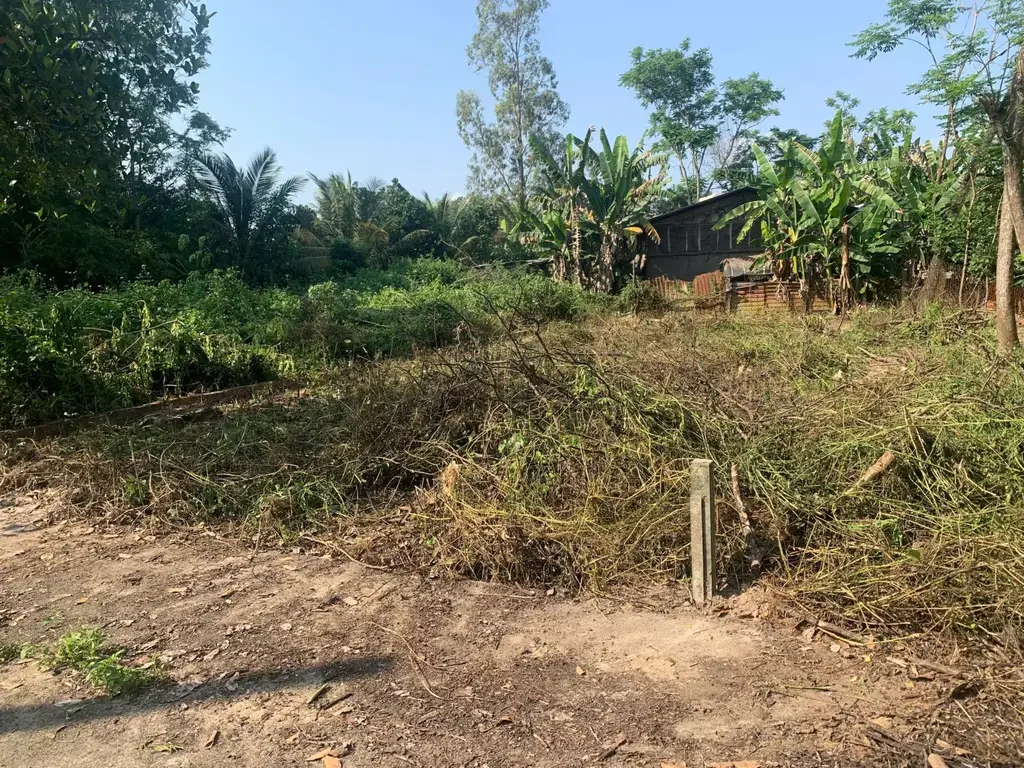Bán đất Hòa Xuân mới Thôn Tân Hạnh Xã Hòa Phước Hòa Vang, Hòa Vang – 150 m², 2,3 tỷ – ảnh 4