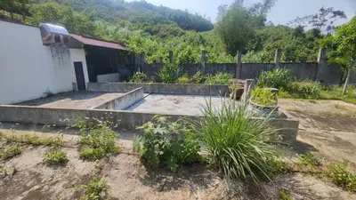 Bán nhà cấp 4 mặt tiền Thôn Tống Cói, Quảng Nam (khu khác) – 1.372 m², 3 tỷ