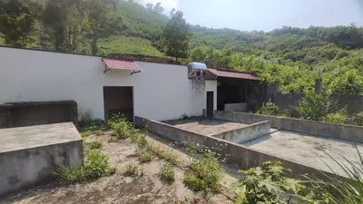 Bán nhà cấp 4 mặt tiền Thôn Tống Cói, Quảng Nam (khu khác) – 1.372 m², 3 tỷ – ảnh 3