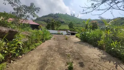 Bán nhà cấp 4 mặt tiền Thôn Tống Cói, Quảng Nam (khu khác) – 1.372 m², 3 tỷ – ảnh 6