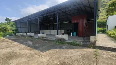 Bán nhà cấp 4 mặt tiền Thôn Tống Cói, Quảng Nam (khu khác) – 1.372 m², 3 tỷ – ảnh 9