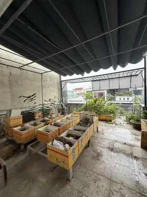 Bán nhà mặt tiền Đông Lợi 3, Thanh Khê – 89 m², 2,5 tầng, 5,45 tỷ – ảnh 9