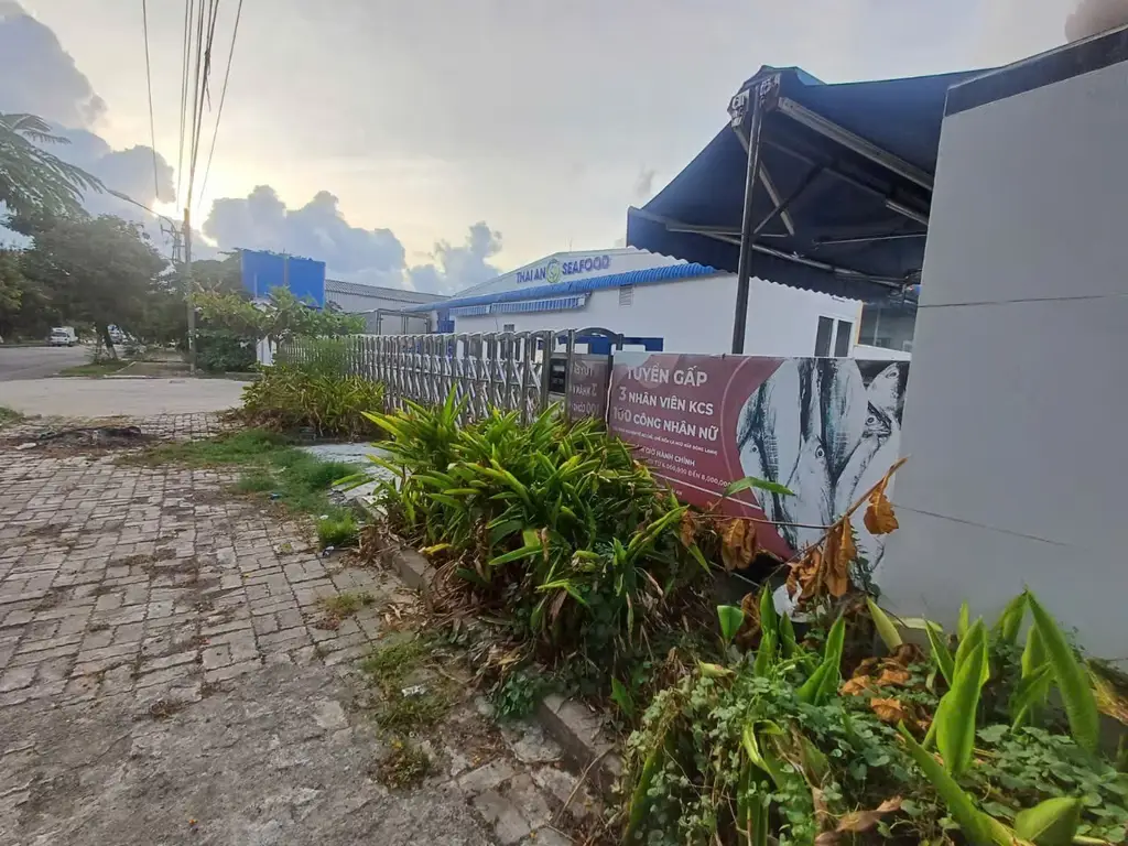 Bán nhà mặt tiền Phạm Bằng, Sơn Trà – 3.738 m², 1 tầng, 42 tỷ – ảnh 5