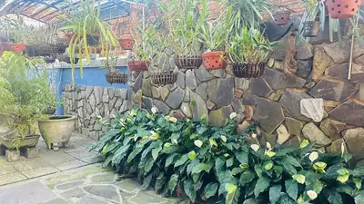 Bán nhà mặt tiền Phạm Văn Đồng, Hội An – 380 m², 1 tầng, 15,5 tỷ