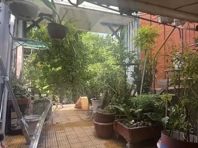 Bán nhà mặt tiền Ngô Gia Tự, Hải Châu – 67 m², 2 tầng, 18 tỷ – ảnh 5