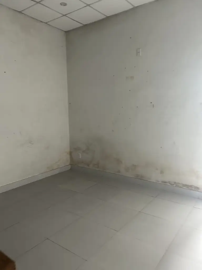 Bán nhà mặt tiền Cách mạng Tháng 8, Cẩm Lệ – 95 m², 2 tầng, 8,3 tỷ – ảnh 4