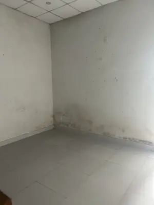 Bán nhà mặt tiền Cách mạng Tháng 8, Cẩm Lệ – 95 m², 2 tầng, 8,3 tỷ – ảnh 4