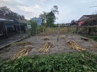 Bán đất Thăng Bình, Quảng Nam (khu khác) – 169,4 m², 550 triệu